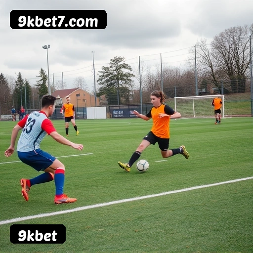 Níveis do programa VIP da 9kbet